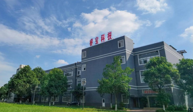 睿寶電子場景